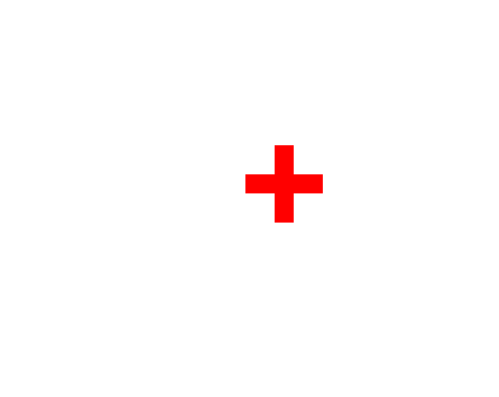 healthcareheroesofamerica